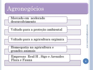 6
leonoramello@bichosonline.vet.br
 