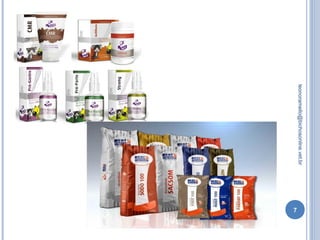 7
leonoramello@bichosonline.vet.br
 