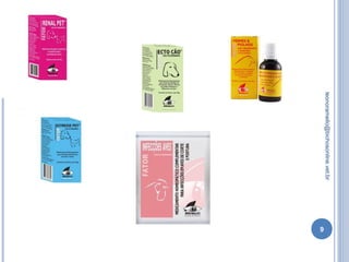 9
leonoramello@bichosonline.vet.br
 