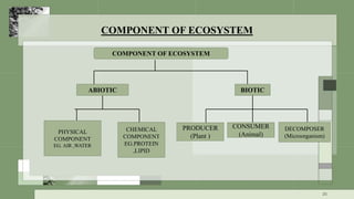 COMPONENT OF ECOSYSTEM
COMPONENT OF ECOSYSTEM
ABIOTIC BIOTIC
PHYSICAL
COMPONENT
EG. AIR ,WATER
CHEMICAL
COMPONENT
EG.PROTEIN
,LIPID
PRODUCER
(Plant )
CONSUMER
(Animal)
DECOMPOSER
(Microorganism)
25
 