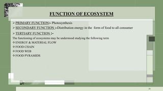 FUNCTION OF ECOSYSTEM
PRIMARY FUNCTION:- Photosynthesis
SECONDARY FUNCTION :-Distribution energy in the form of food to all consumer
TERTIARY FUNCTION :-
The functioning of ecosystems may be understood studying the following term
ENERGY & MATERIAL FLOW
FOOD CHAIN
FOOD WEB
FOOD PYRAMIDS
26
 