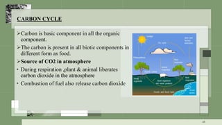 CARBON CYCLE
Carbon is basic component in all the organic
component.
The carbon is present in all biotic components in
different form as food.
Source of CO2 in atmosphere
• During respiration ,plant & animal liberates
carbon dioxide in the atmosphere
• Combustion of fuel also release carbon dioxide
28
 