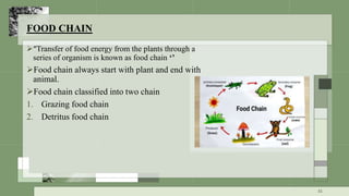 FOOD CHAIN
“Transfer of food energy from the plants through a
series of organism is known as food chain ‘’
Food chain always start with plant and end with
animal.
Food chain classified into two chain
1. Grazing food chain
2. Detritus food chain
31
 