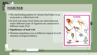 FOOD WEB
The interlocking pattern of various food chain in an
ecosystem is called food web.
In food web many food chains are interconnected
where different types of organism are connected at
different tropic level
Significance of food web
 Maintain population size at different tropical level &
maintain ecological balance.
32
 