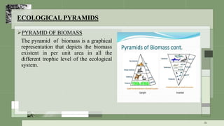 ECOLOGICAL PYRAMIDS
PYRAMID OF BIOMASS
The pyramid of biomass is a graphical
representation that depicts the biomass
existent in per unit area in all the
different trophic level of the ecological
system.
35
 