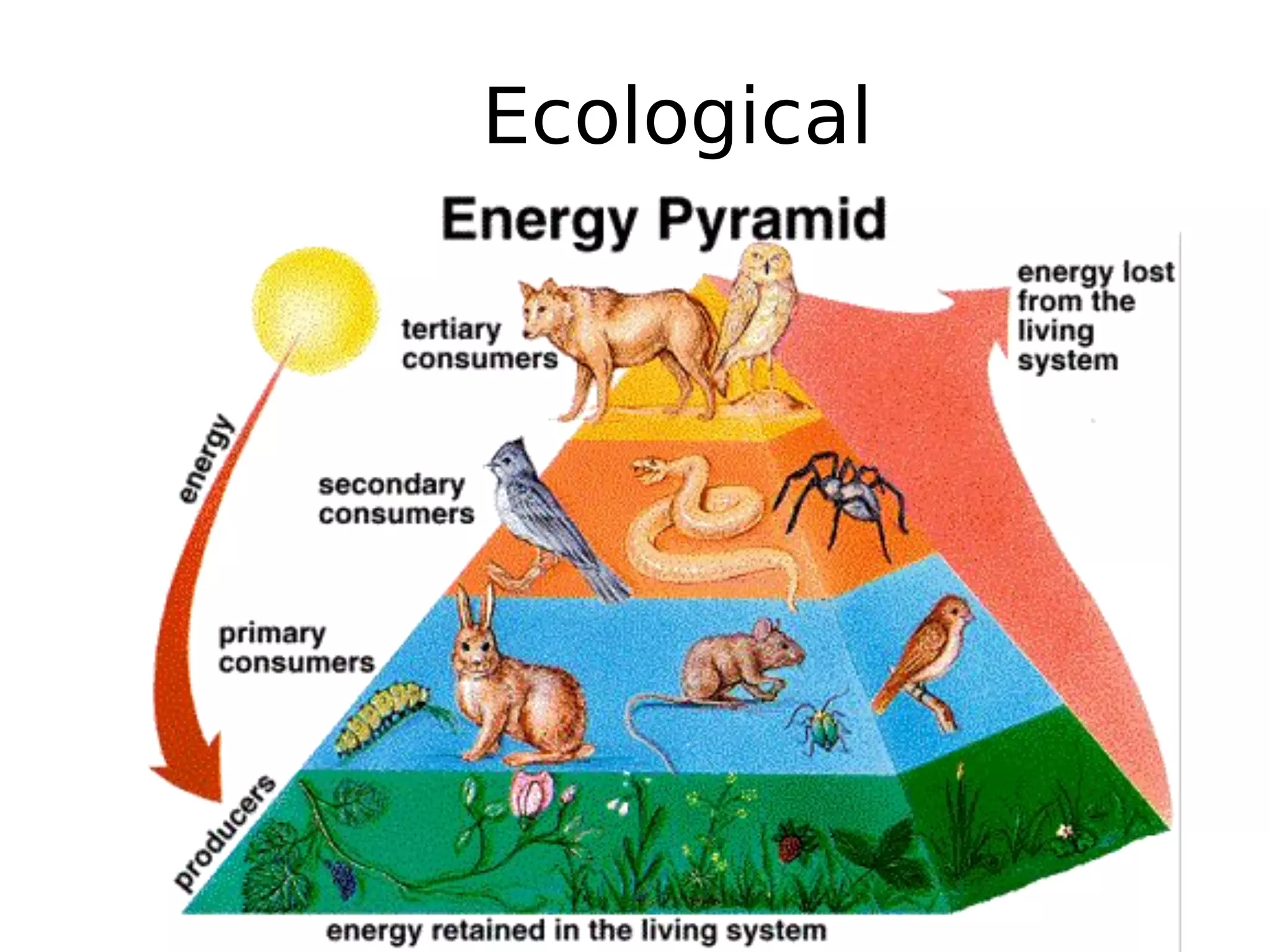 Ecological
 