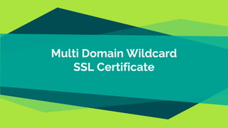 Multi Domain Wildcard
SSL Certificate
 