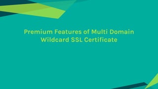 Premium Features of Multi Domain
Wildcard SSL Certificate
 