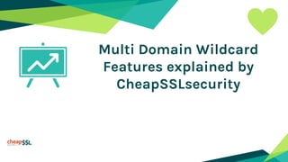 Multi Domain Wildcard
Features explained by
CheapSSLsecurity
 