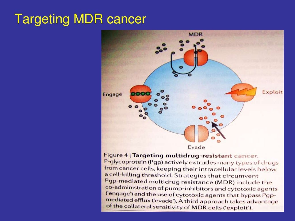 Multi drug resistance