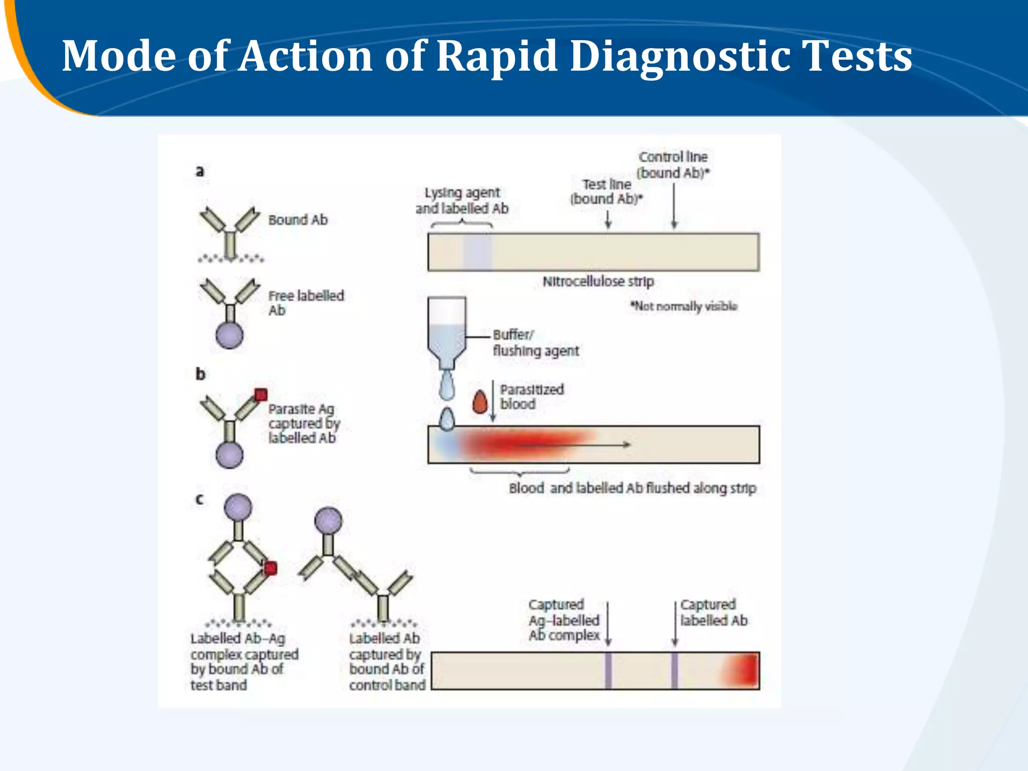 Mode of Action of Rapid Diagnostic Tests
 