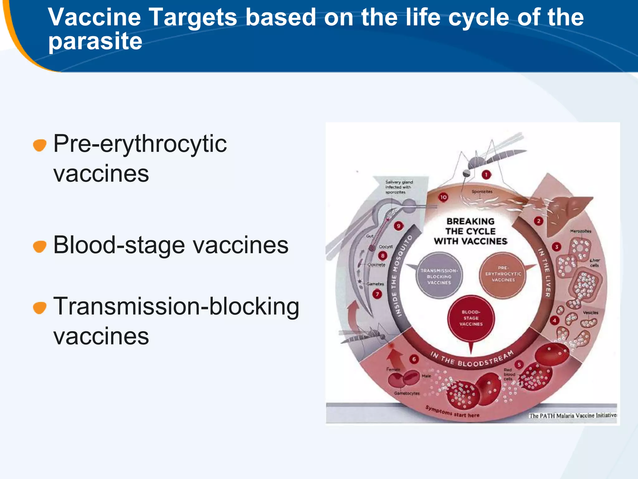 Vaccine Targets based on the life cycle of the
parasite



Pre-erythrocytic
vaccines

Blood-stage vaccines

Transmission-blocking
vaccines
 