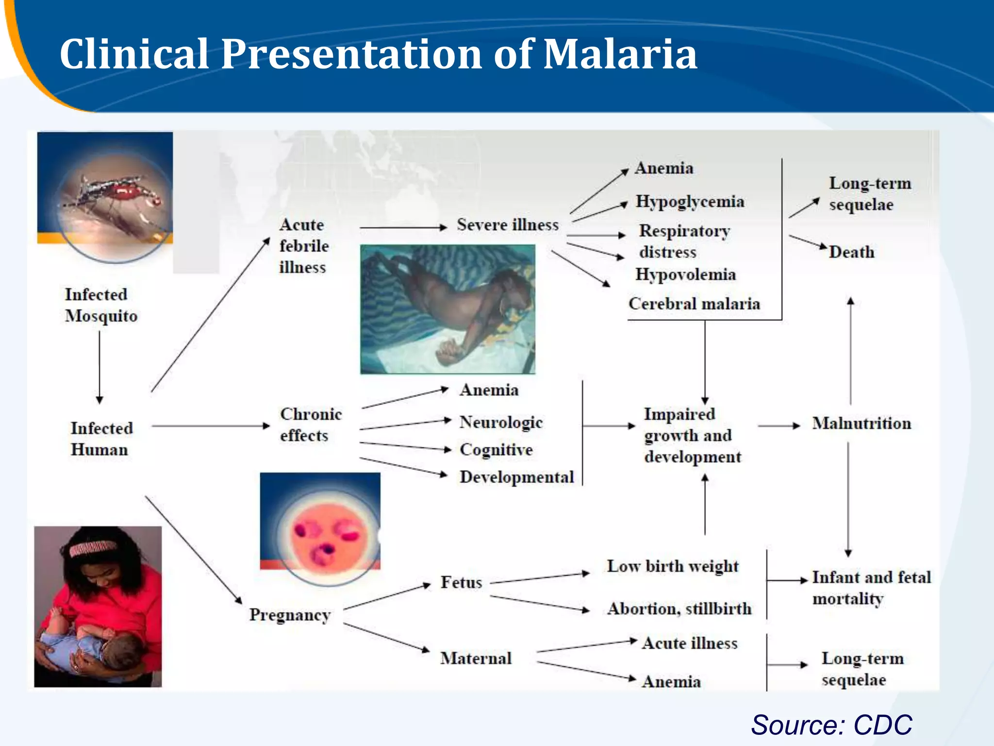 Clinical Presentation of Malaria




                                   Source: CDC
 