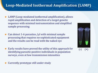 Loop-Mediated Isothermal Amplification (LAMP)

 LAMP (Loop-mediated isothermal amplification), allows
 rapid amplification...