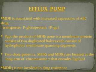 EFFLUX PUMP
MDR is associated with increased expression of ABC
drug
transporter P-glycoprotein (P-gp)
 Pgp, the product of MDR1 gene is a membrane protein
consist of two duplicated halves each consist of
hydrophobic membrane spanning segments.
 Two close genes i.e. MDR1 and MDR3 are located at the
long arm of chromosome 7 that encodes Pgp(30)
MDR3 is not involved in drug resistance
 