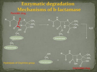 Enzymatic degradation
Mechanisms of b-lactamase
N
O
N
O
OH
S CH3
CH3
O
R
H
β-lactamase
CH2
OH
β-lactamase
CH2
OH
N
O
N
O
OH
S CH3
CH3
O
R
H
β-lactamase
CH2
O
H H2O
N
O
N
O
OH
S CH3
CH3
O
R
H
H
OH
β-lactamase
CH2
OH
+
Hydrolysis of Oxyimino group
Penicillin drug
Inactivated drug
 