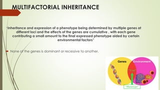 Multifactorial Inheritance