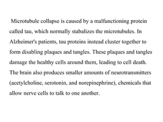 Microtubule collapse is caused by a malfunctioning protein
called tau, which normally stabalizes the microtubules. In
Alzheimer's patients, tau proteins instead cluster together to
form disabling plaques and tangles. These plaques and tangles
damage the healthy cells around them, leading to cell death.
The brain also produces smaller amounts of neurotransmitters
(acetylcholine, serotonin, and norepinephrine), chemicals that
allow nerve cells to talk to one another.
 