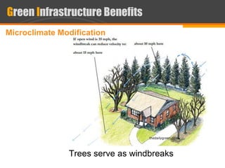 Multifunction green infrastructure new cairo | PDF