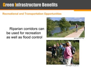 Multifunction green infrastructure new cairo | PDF