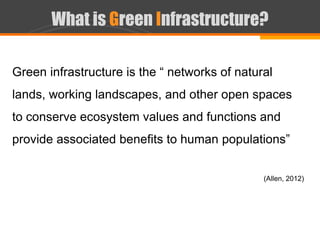 Multifunction green infrastructure new cairo | PDF