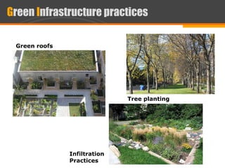 Multifunction green infrastructure new cairo | PDF