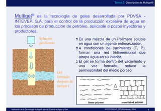Multigel.pdf