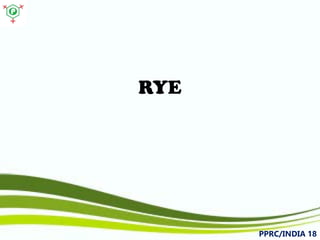 RYE 
PPRC/INDIA 18 
 