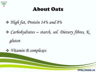 About Oats 
 
Highfat,Protein14%and8% 
 
Carbohydrates–starch,sol.Dietaryfibres,K, gluten 
 
VitaminBcomplexes 
PPRC/INDIA 24 
 