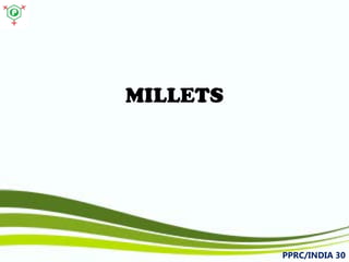 MILLETS 
PPRC/INDIA 30 
 