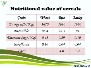 Nutritional value of cereals 
PPRC/INDIA 38 
Grain 
Wheat 
Rice 
Barley 
Energy (kJ/100g) 
1670 
1610 
1680 
Digestible 
86.4 
96.3 
81 
Thiamine (mg/100g) 
0.45 
0.29 
0.10 
Riboflavin 
0.10 
0.04 
0.04 
Niacin 
3.7 
4.0 
2.7  