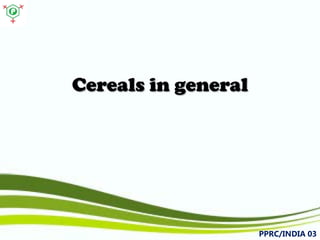 Cereals in general 
PPRC/INDIA 03 
 