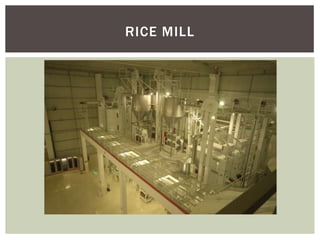 Spectrum Multigrain Processing Machine Layout Multigrain systems | PPTX