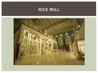Multigrid Rice Multigrain systems | PPTX