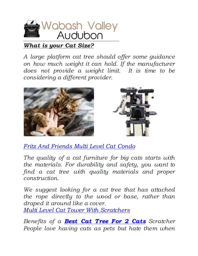 fritz and friends cat condo