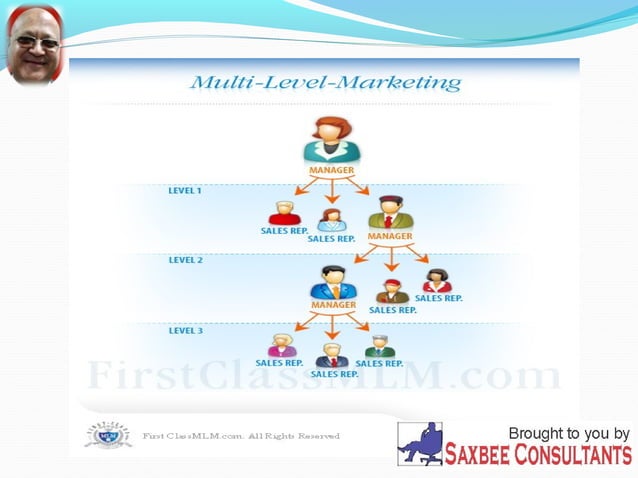Multi level marketing | PPT | Sales | Business