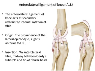 Multiligamentous_Knee_Injury CORR.pptx .. | PPTX