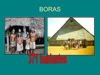 BORAS 371 hablantes 