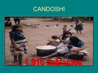 CANDOSHI 1 916 hablantes 