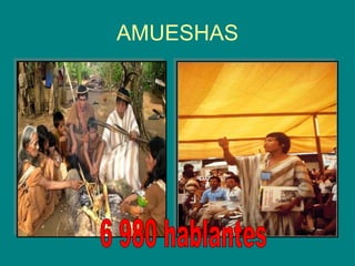 AMUESHAS 6 980 hablantes 
