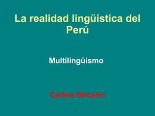 La realidad lingüística del Perú Multilingüismo Carlos Briceño 