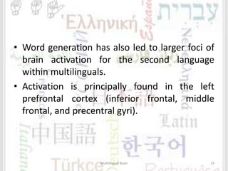 • Word generation has also led to larger foci of
brain activation for the second language
within multilinguals.
• Activation is principally found in the left
prefrontal cortex (inferior frontal, middle
frontal, and precentral gyri).
Multilingual Brain 19
 