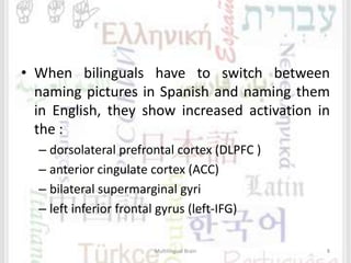 • When bilinguals have to switch between
naming pictures in Spanish and naming them
in English, they show increased activation in
the :
– dorsolateral prefrontal cortex (DLPFC )
– anterior cingulate cortex (ACC)
– bilateral supermarginal gyri
– left inferior frontal gyrus (left-IFG)
Multilingual Brain 8
 
