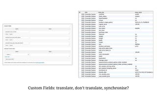 Custom Fields: translate, don’t translate, synchronise?
 