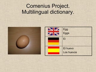 Comenius Multilingual Dictionary Spain