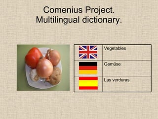 Comenius Multilingual Dictionary Spain