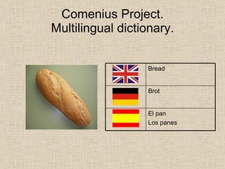 Comenius Multilingual Dictionary Spain