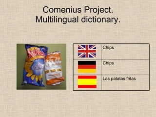 Comenius Multilingual Dictionary Spain