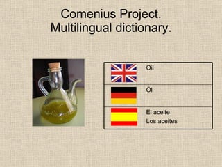 Comenius Multilingual Dictionary Spain