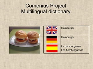 Comenius Multilingual Dictionary Spain